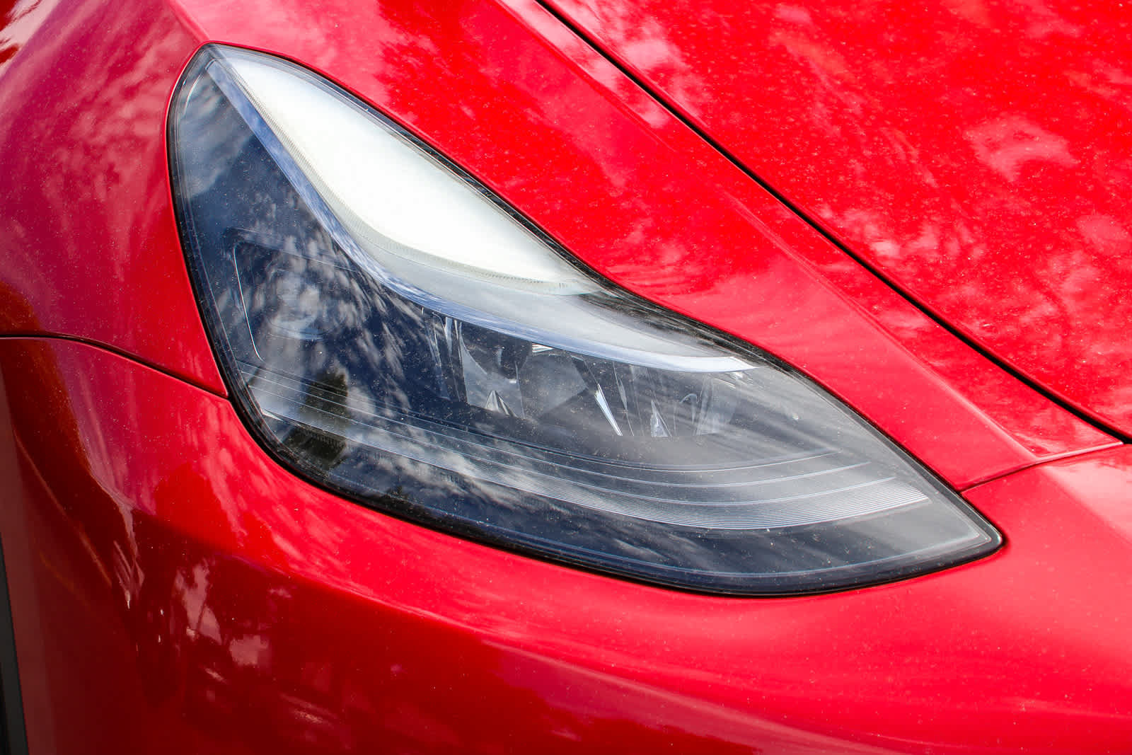 Used 2023 Tesla Model Y Long Range AWD/4WD image 4
