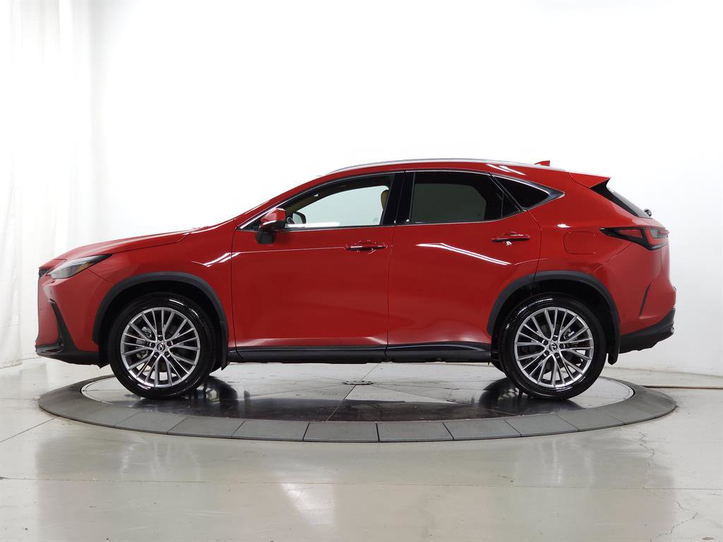 Used 2025 Lexus NX 300h AWD w/ Luxury Package image 4