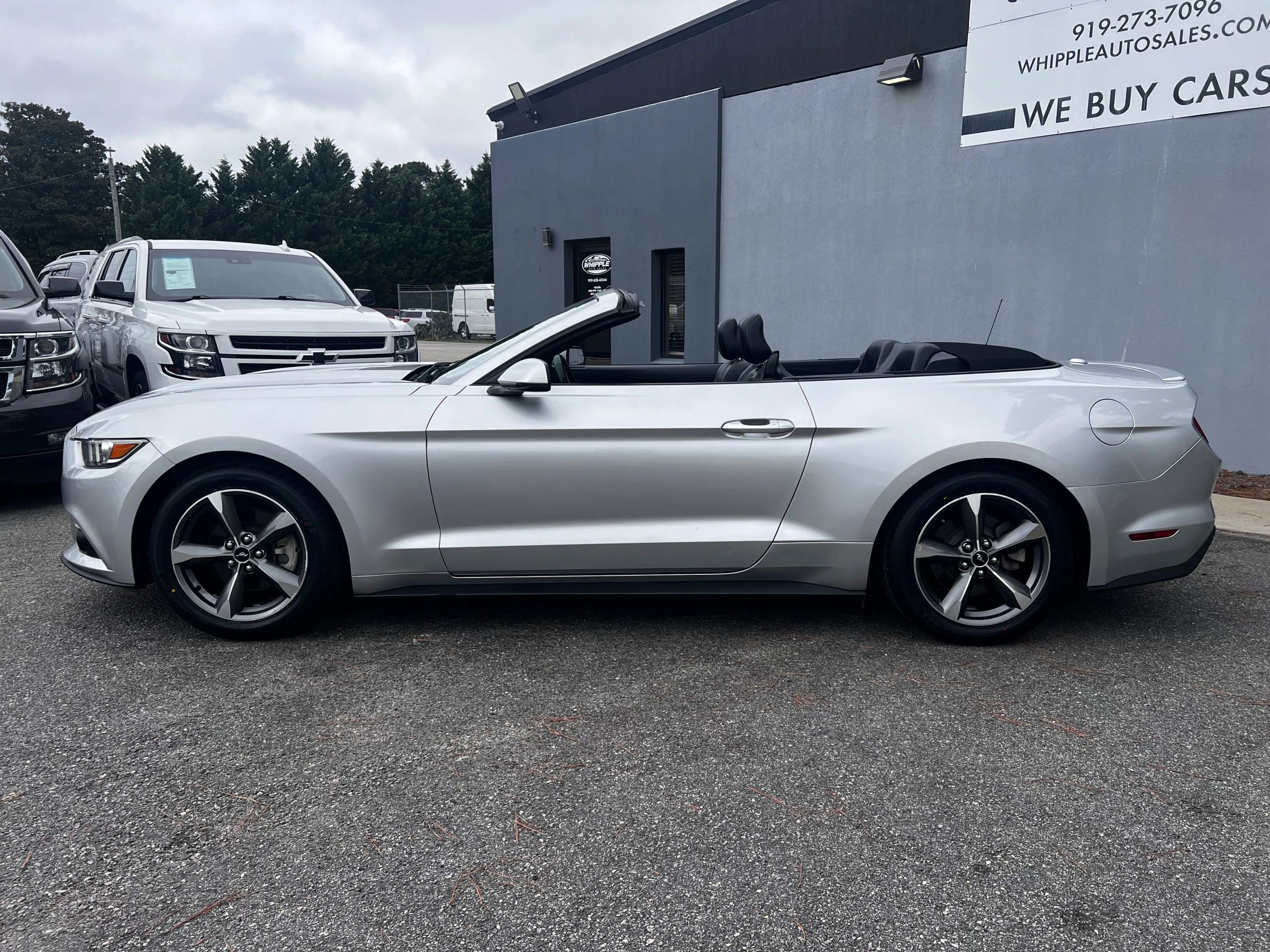 Used 2017 Ford Mustang Premium image 8