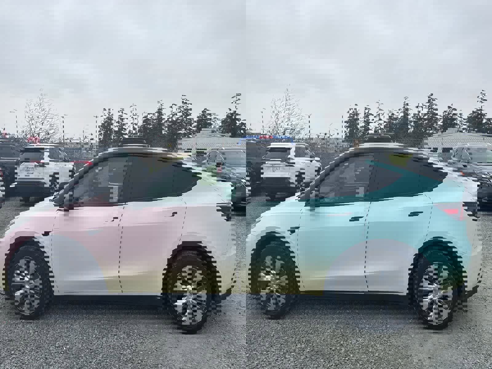 Used 2023 Tesla Model Y Long Range image 5