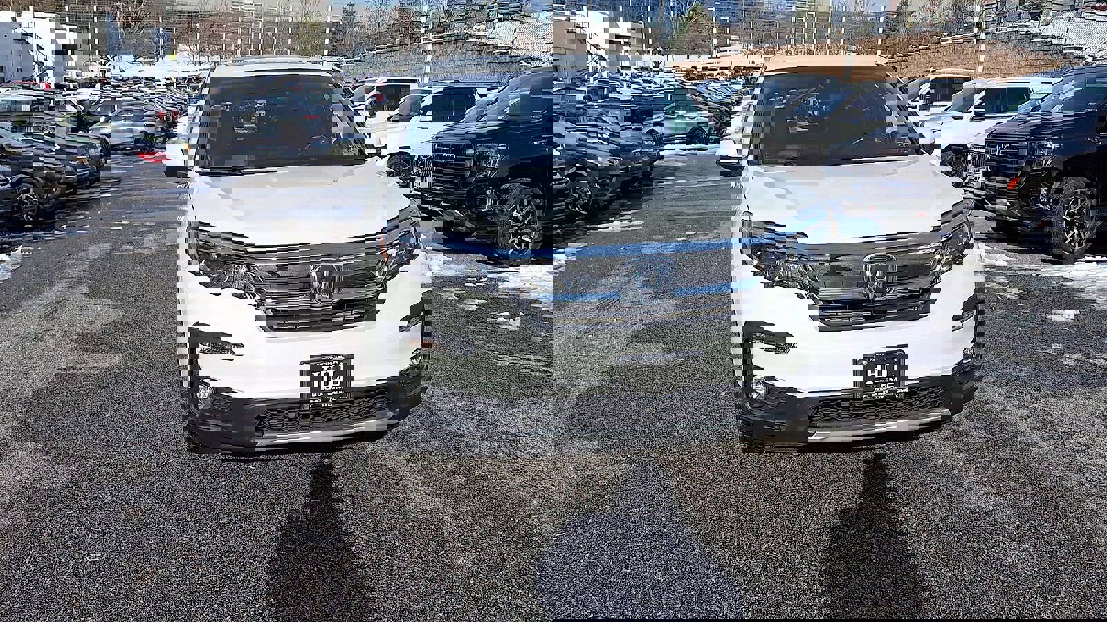 Used 2021 Honda Pilot EX-L image 3