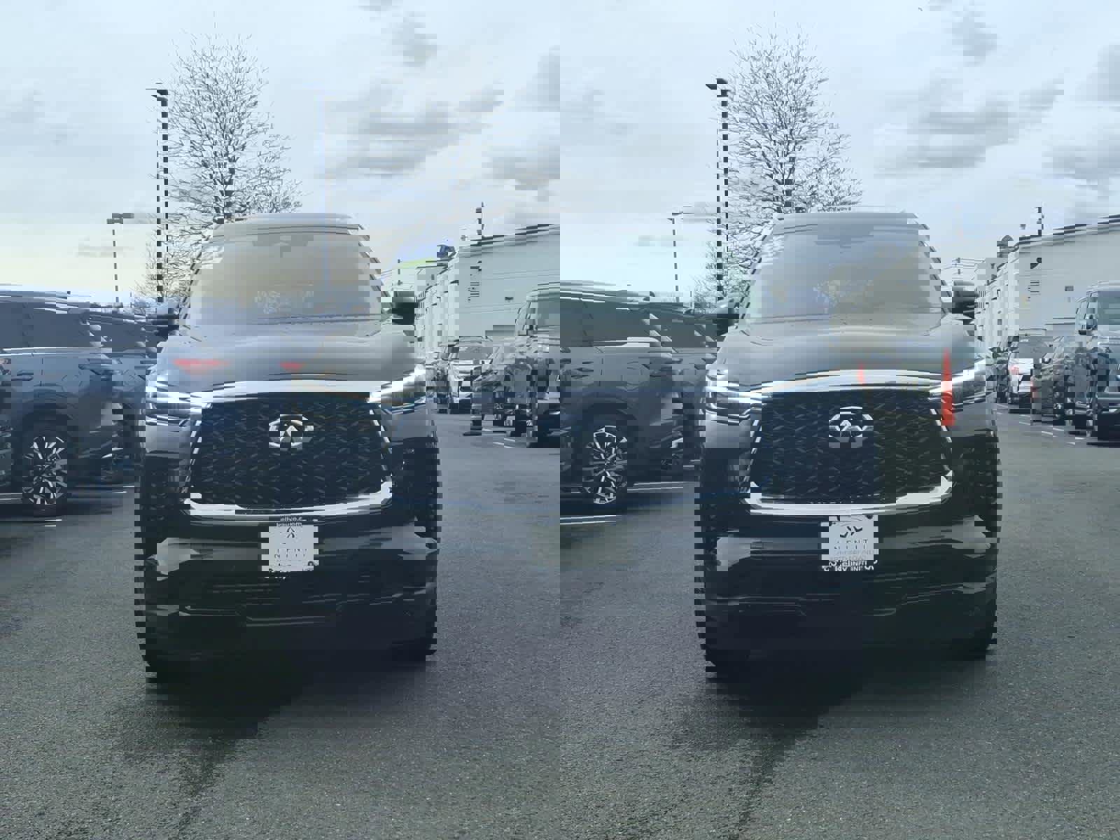 Certified 2023 INFINITI QX60 Luxe w/ Cargo Package image 2