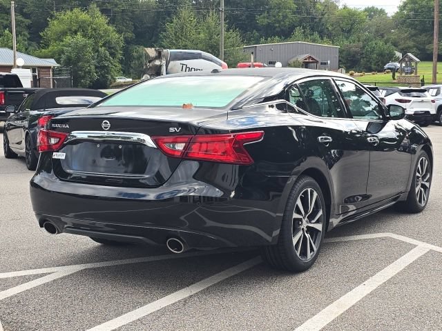 Used 2017 Nissan Maxima 3.5 SV FWD image 5