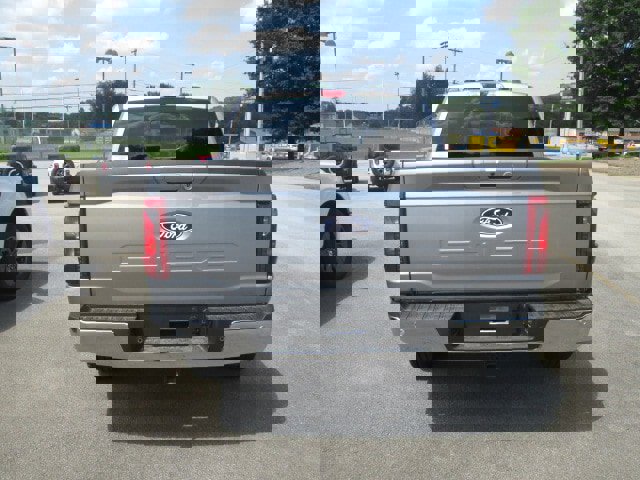 New 2025 Ford F150 XLT w/ Equipment Group 302A MID image 4