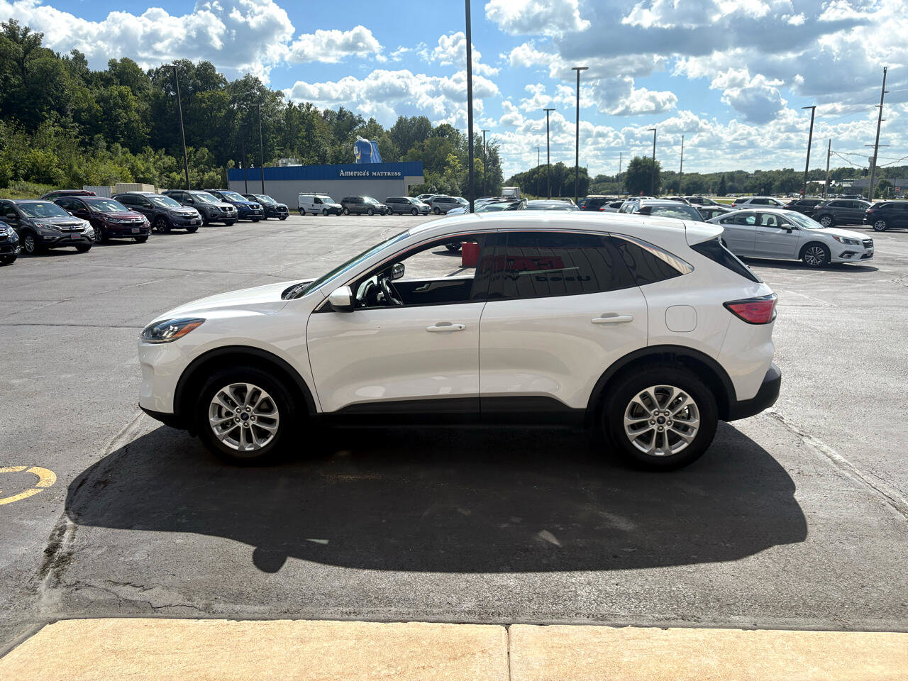 Used 2020 Ford Escape SE image 5