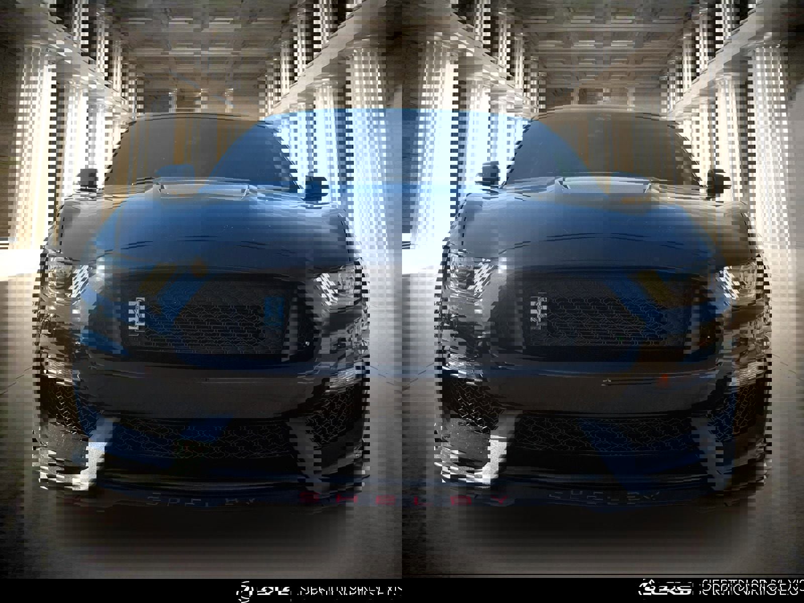 Used 2018 Ford Mustang Shelby GT350 w/ Convenience Package image 5