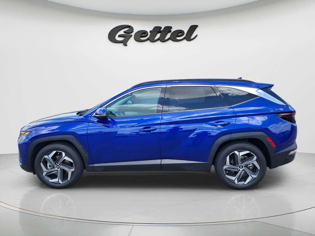 Used 2023 Hyundai Tucson Limited image 8