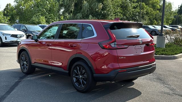 Used 2026 Honda CR-V EX-L image 6