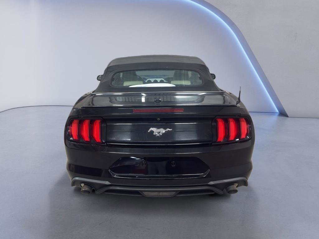 Used 2019 Ford Mustang Premium image 5