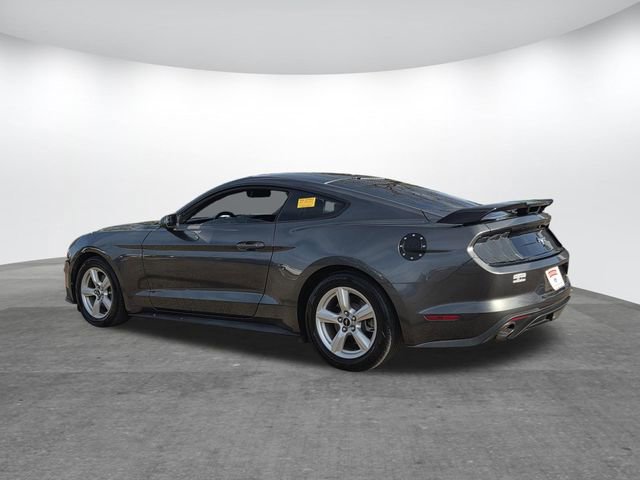 Used 2019 Ford Mustang EcoBoost image 6