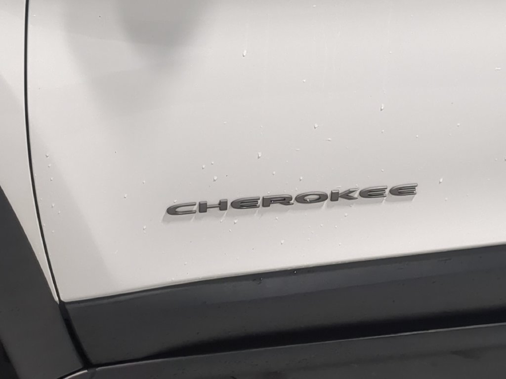 Used 2020 Jeep Cherokee Trailhawk w/ Cold Weather Group AWD/4WD image 16