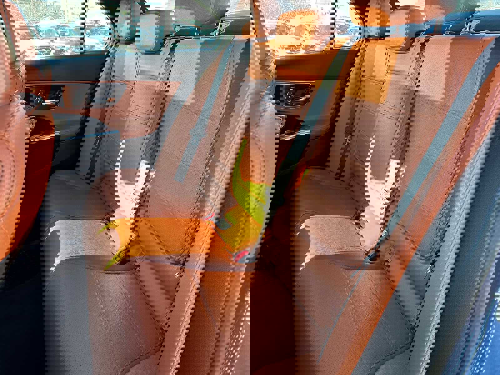 Used 2024 Mercedes-Benz C 300 C 300 image 17