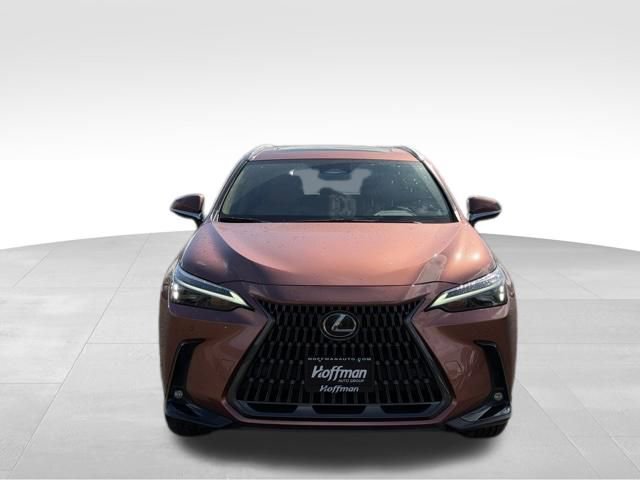 Used 2025 Lexus NX 350 AWD w/ Cold Area Package image 2