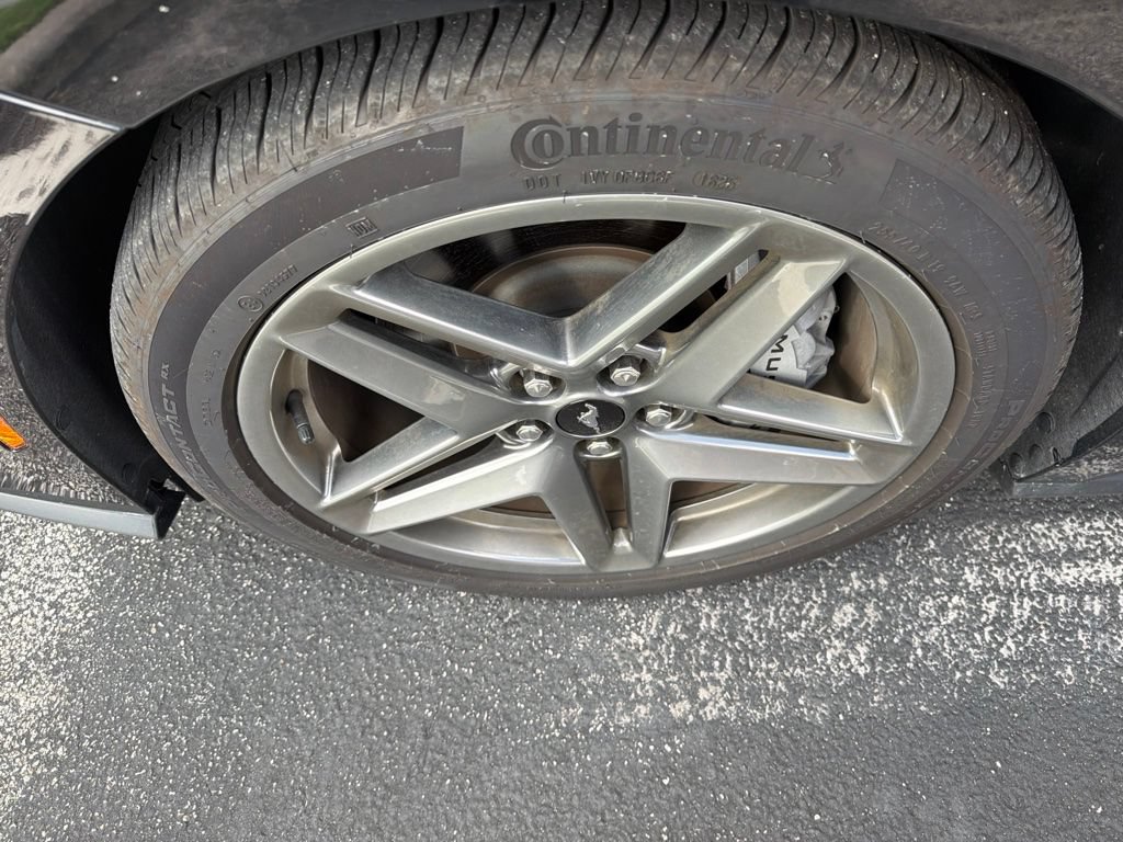 Used 2025 Ford Mustang GT RWD image 12