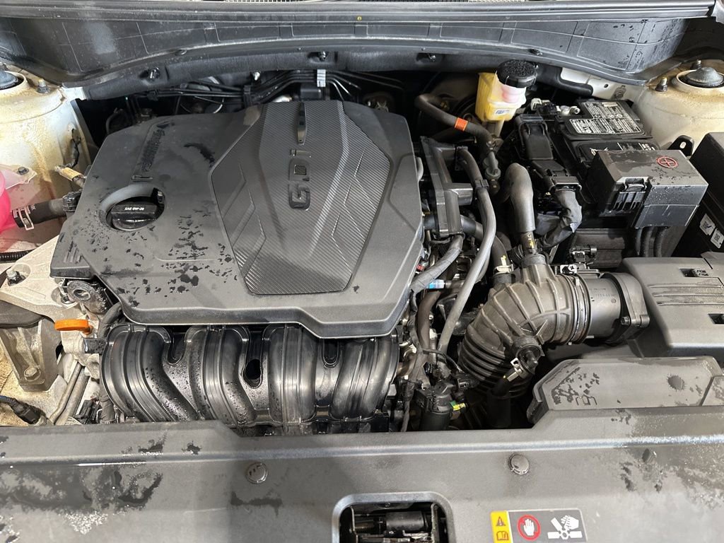 Used 2024 Kia Sportage X-Pro image 22