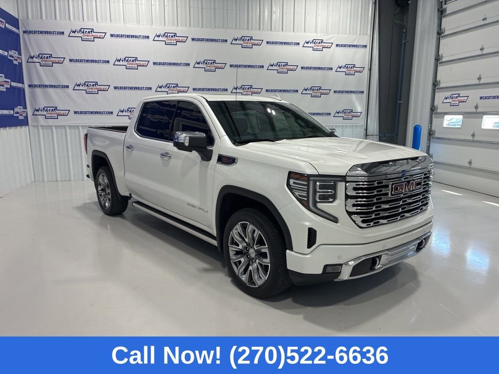 Used 2025 GMC Sierra 1500 Denali AWD/4WD image 10