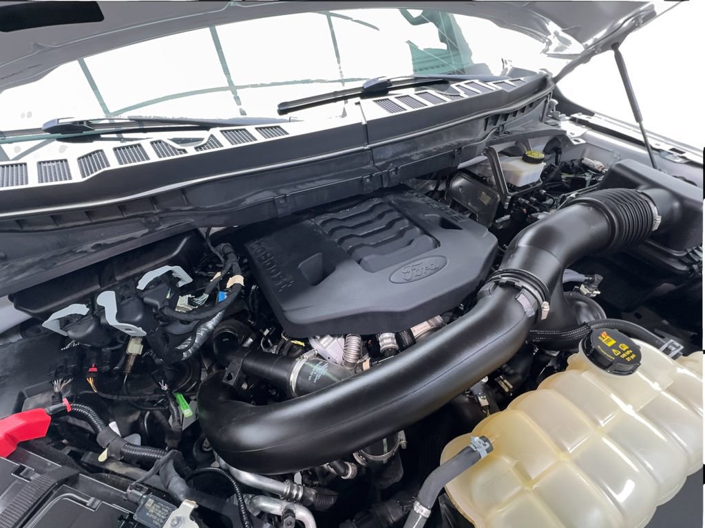 Used 2021 Ford F150 Tremor w/ Equipment Group 402A High AWD/4WD image 19