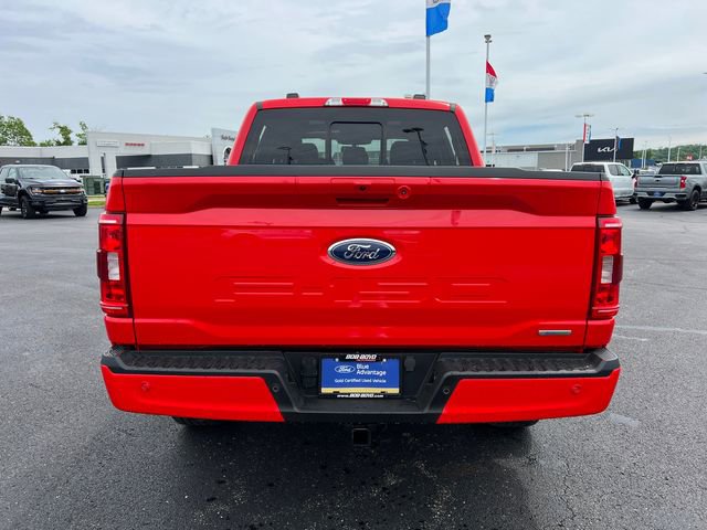 Used 2023 Ford F150 XLT w/ Equipment Group 302A High AWD/4WD image 6