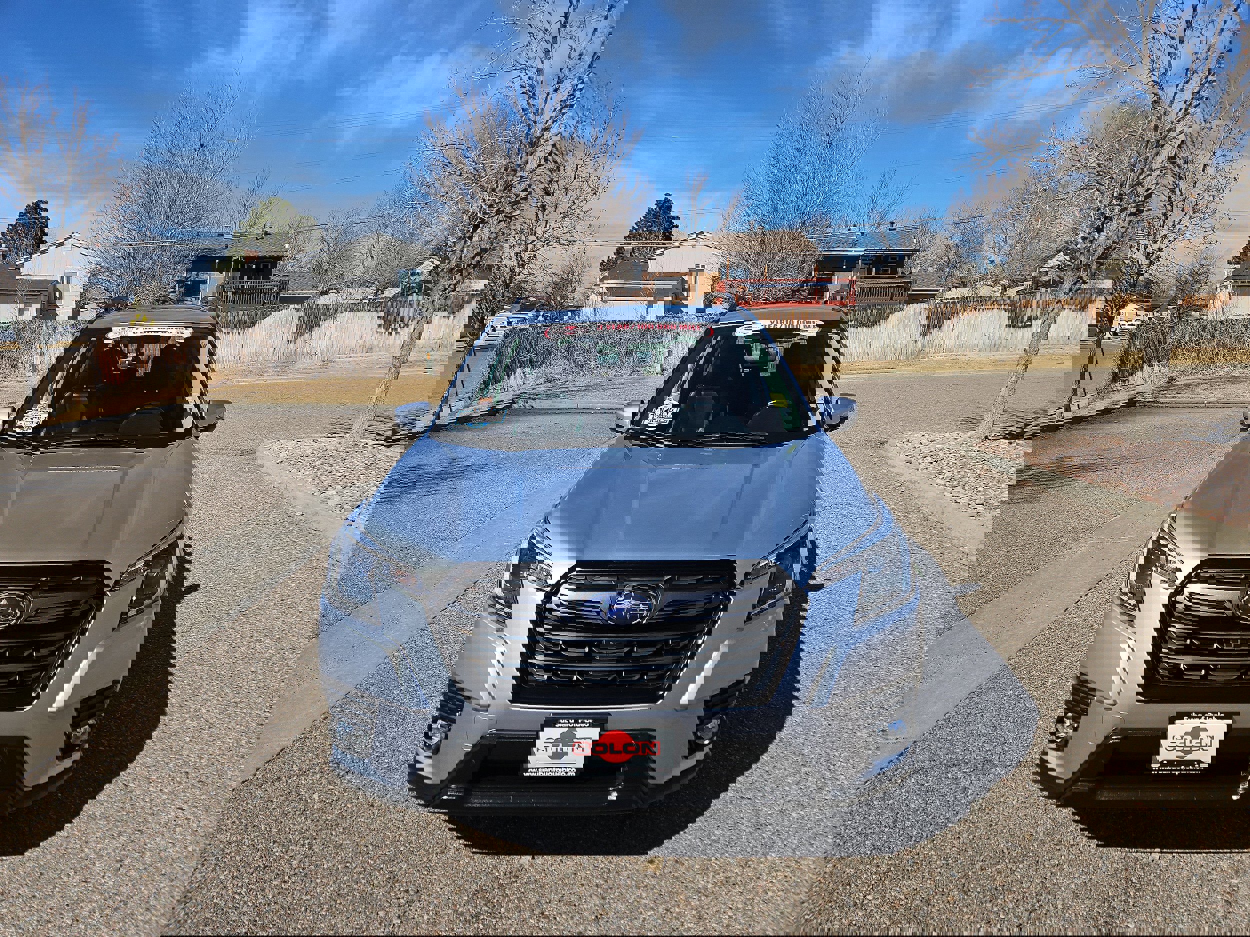 Certified 2023 Subaru Forester Limited image 6