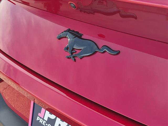 Used 2024 Ford Mustang Coupe w/ Mustang Nite Pony Package RWD image 11
