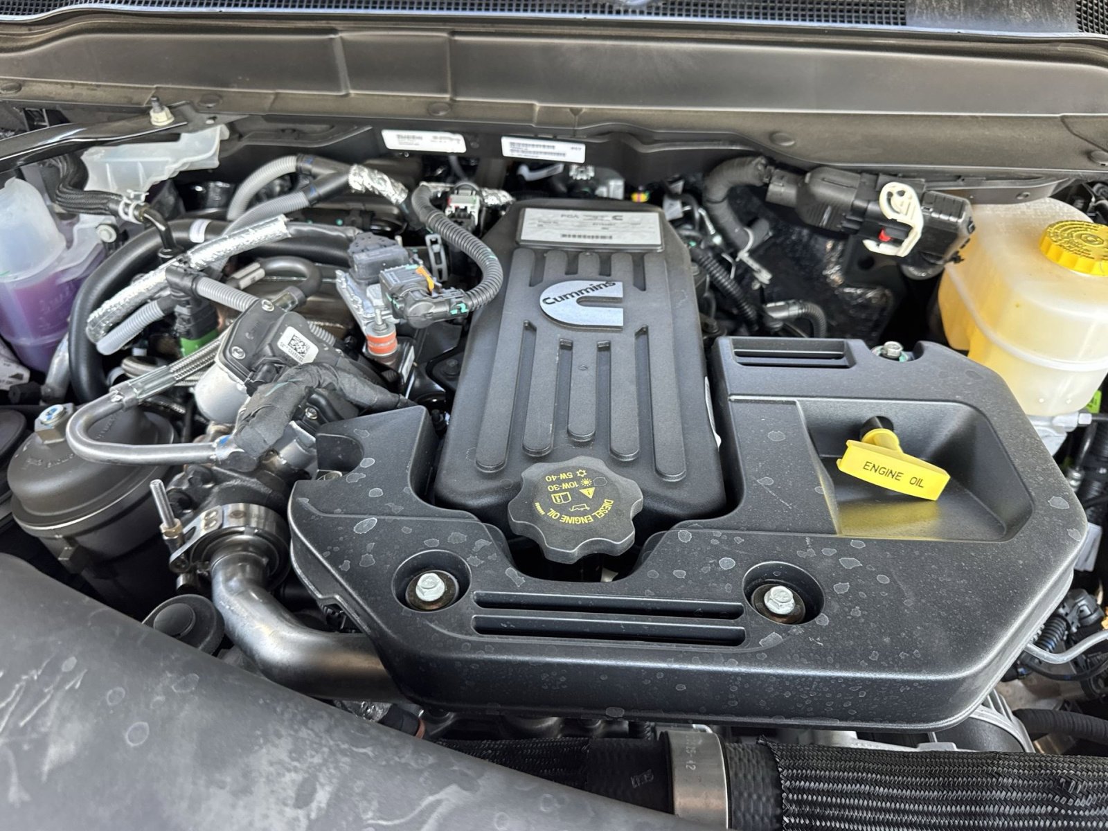 New 2025 RAM 2500 Rebel w/ Rebel Level 1 Equipment Group image 34