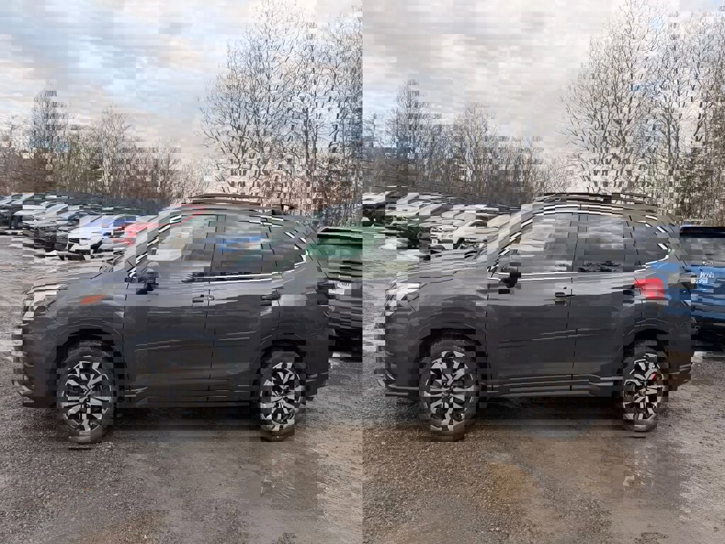 Certified 2024 Subaru Forester Limited image 2