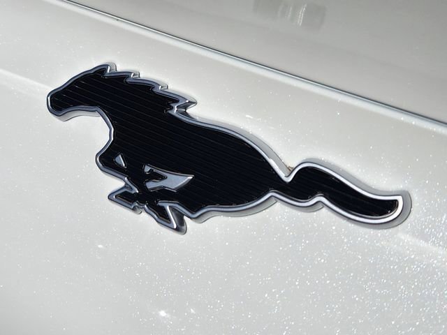 New 2026 Ford Mustang Mach-E Premium w/ Technology Package AWD/4WD image 16