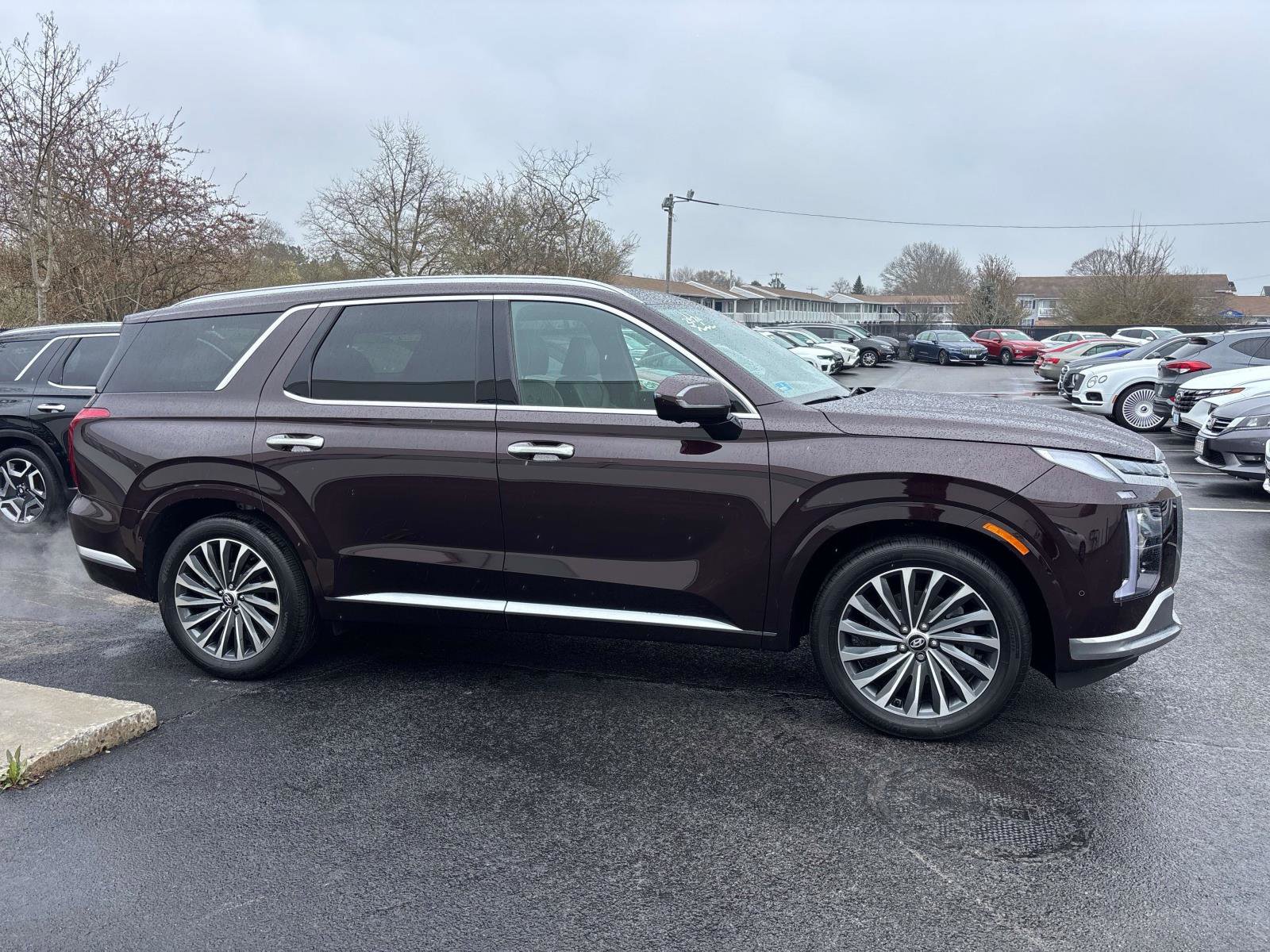 Used 2024 Hyundai Palisade Calligraphy AWD/4WD image 4