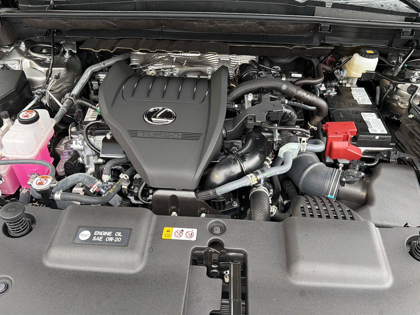 Certified 2026 Lexus NX 350 AWD w/ Cold Area Package image 35