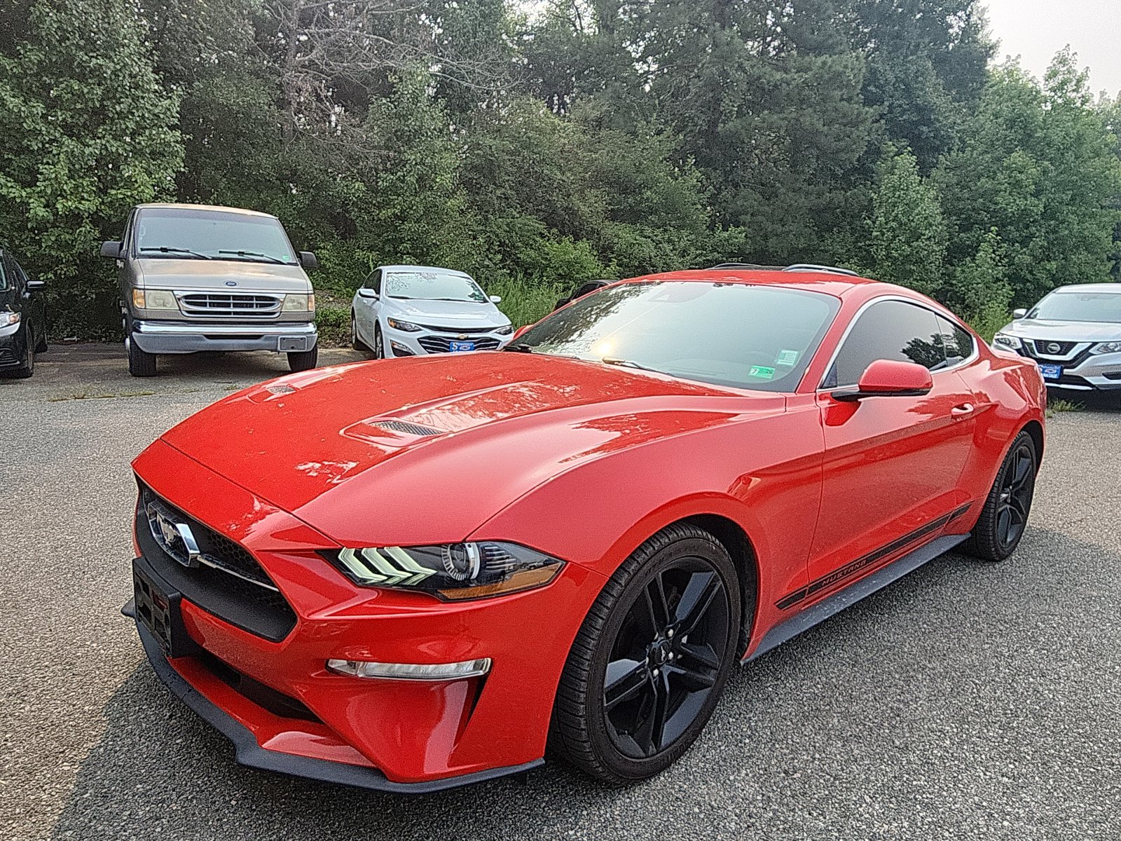 Used 2019 Ford Mustang Premium w/ Equipment Group 201A