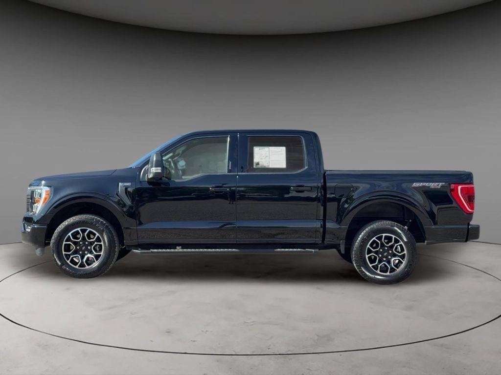 Used 2023 Ford F150 XLT w/ Equipment Group 302A High AWD/4WD image 8
