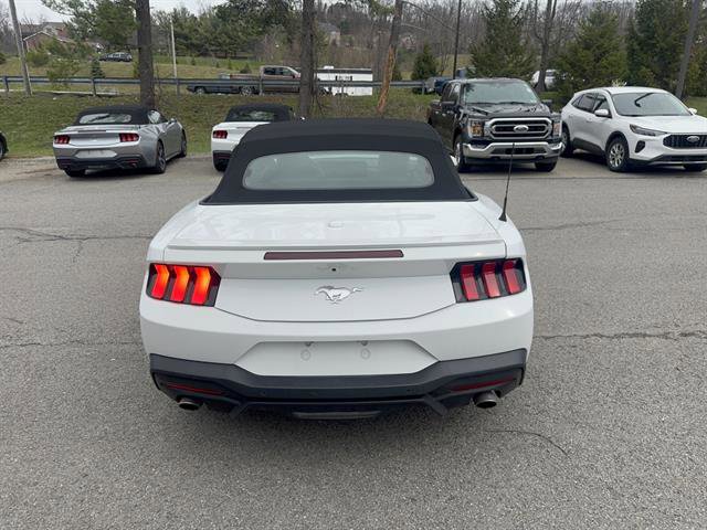 Used 2024 Ford Mustang Premium image 7