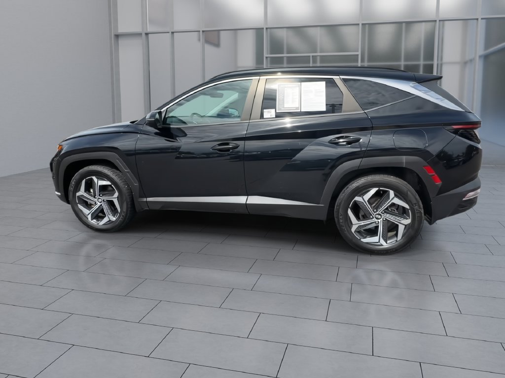 Used 2022 Hyundai Tucson SEL w/ Convenience + Premium Package AWD/4WD image 5