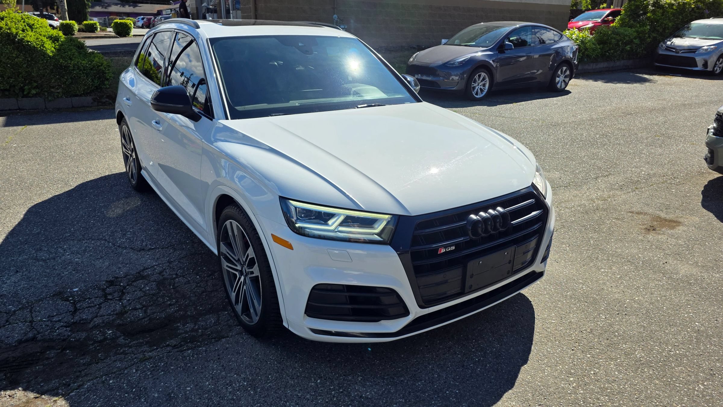 Used 2019 Audi SQ5 Premium Plus w/ Premium Plus Package AWD/4WD image 3