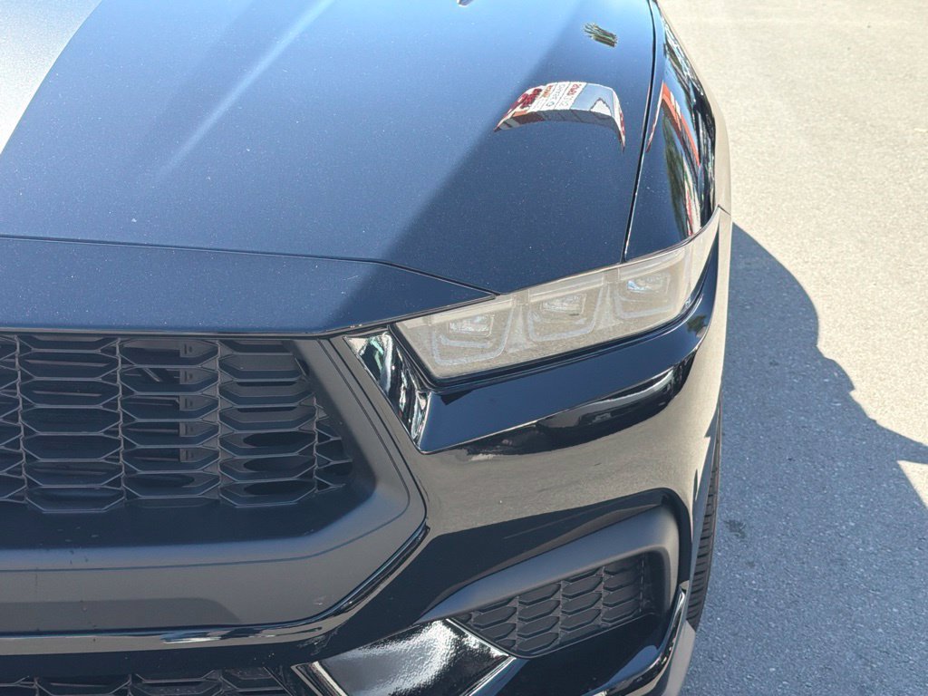 New 2026 Ford Mustang Premium w/ Mustang Nite Pony Package RWD image 15