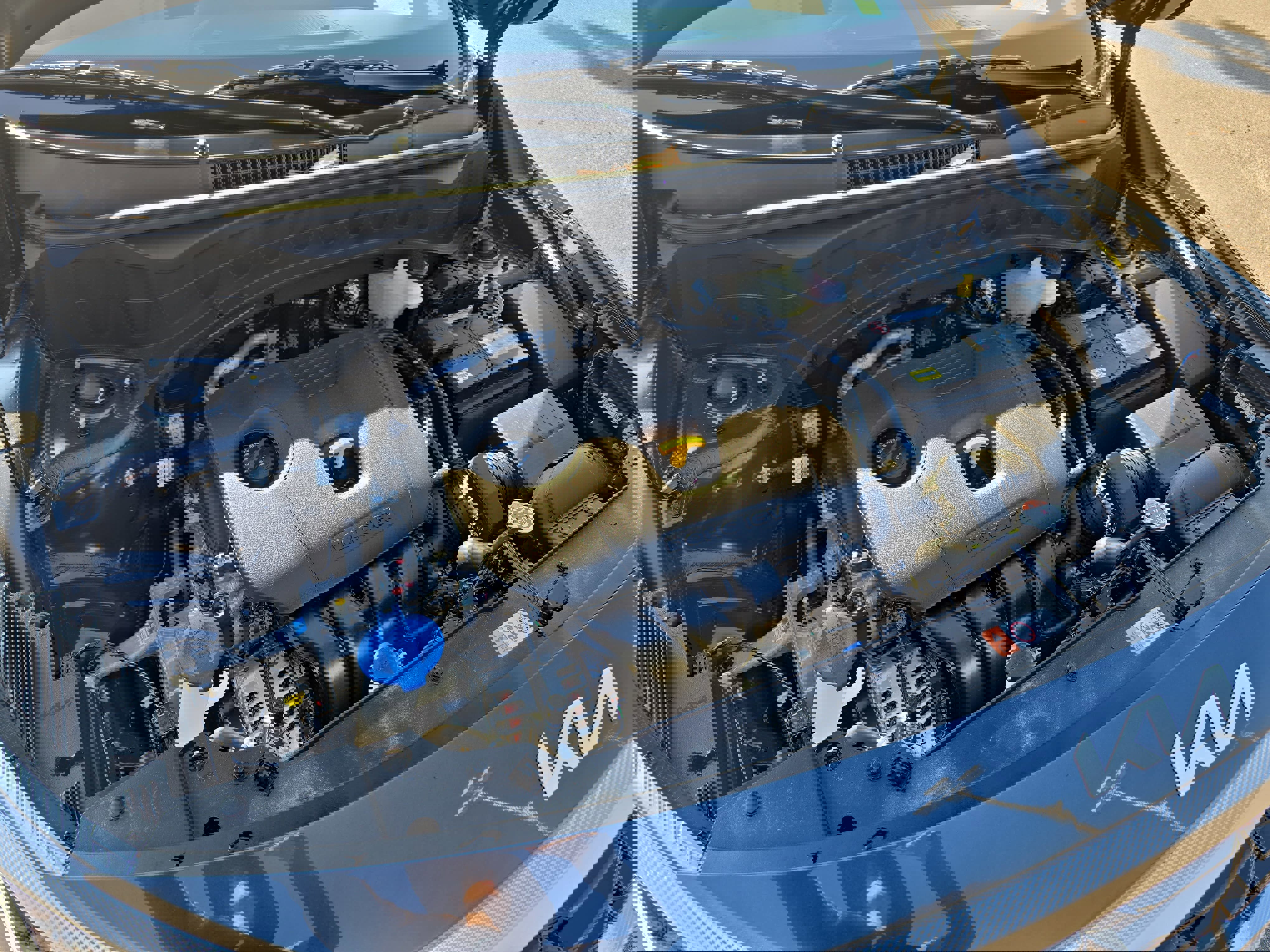 New 2026 Kia Seltos EX w/ EX Sunroof Package image 31