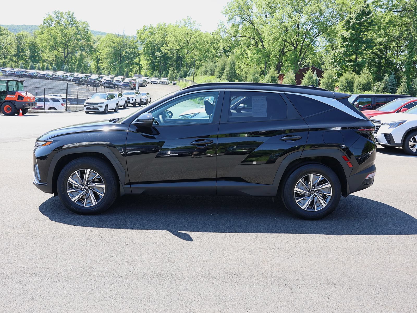 Used 2022 Hyundai Tucson Blue AWD/4WD image 4