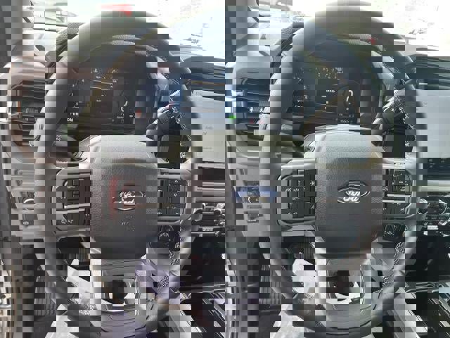 Used 2025 Ford F150 XLT w/ Equipment Group 301A Standard image 9