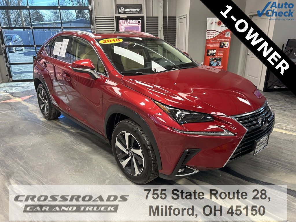 Used 2018 Lexus NX 300h AWD image 1