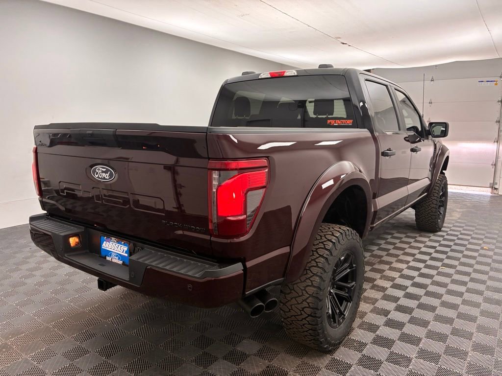 New 2025 Ford F150 STX w/ Equipment Group 200A image 10