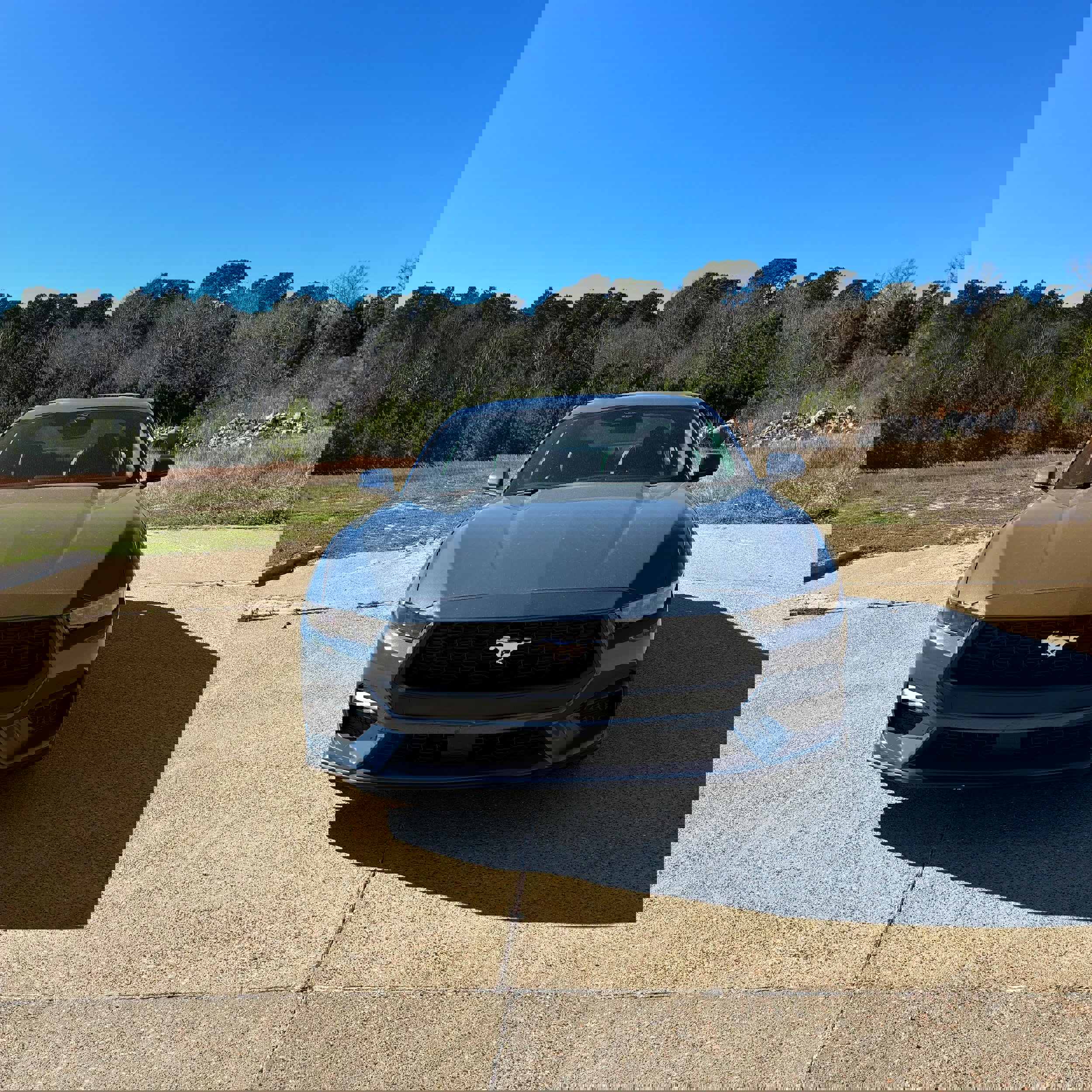 New 2025 Ford Mustang Coupe image 31