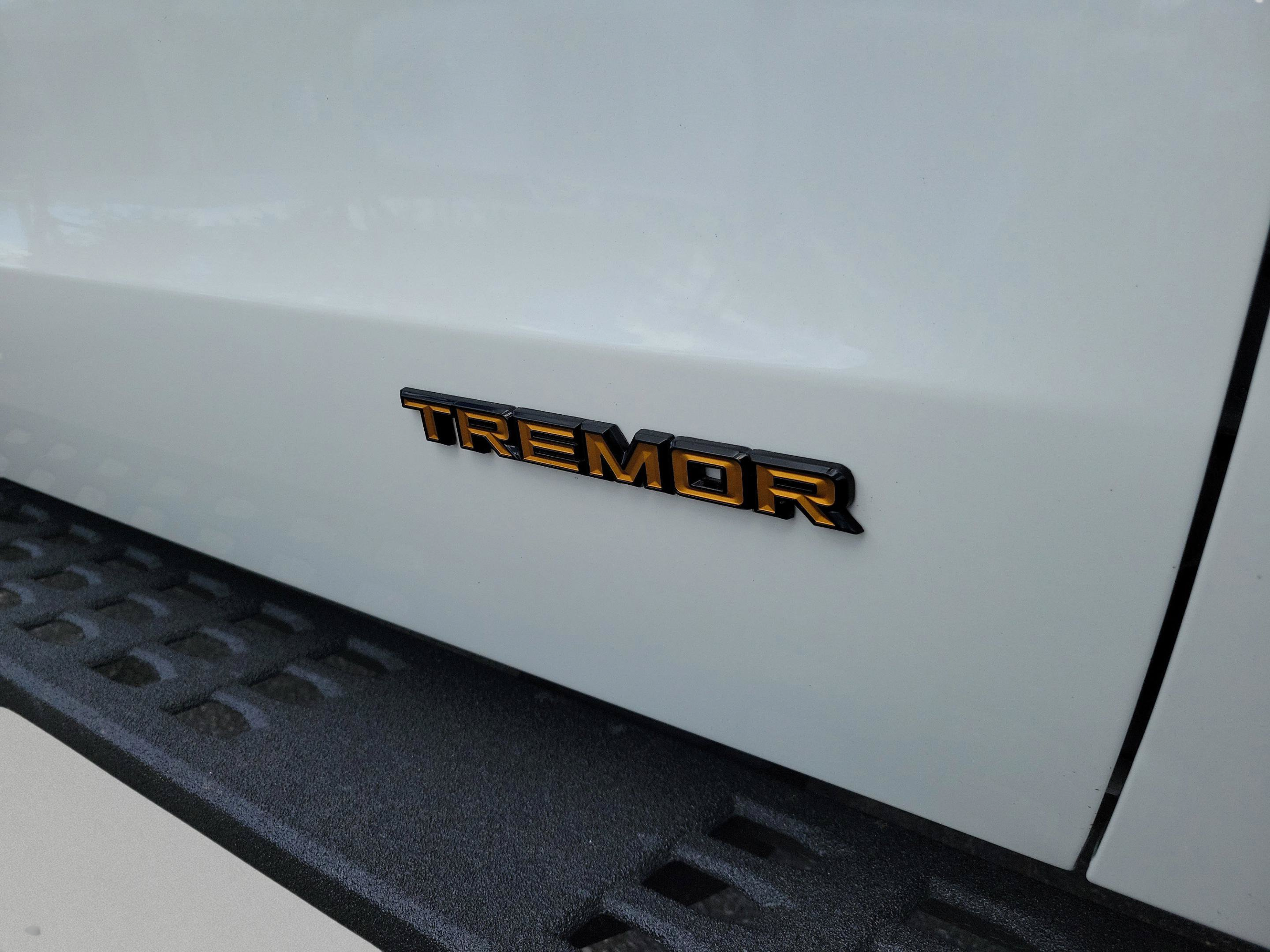 New 2026 Ford Expedition Tremor AWD/4WD image 37