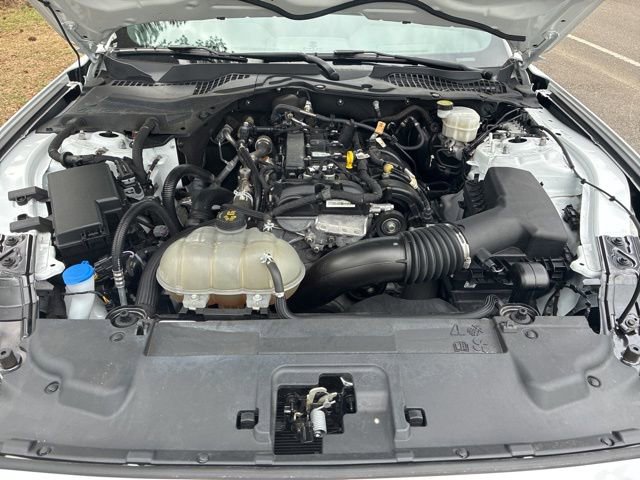 Used 2022 Ford Mustang Coupe w/ Equipment Group 101A image 19