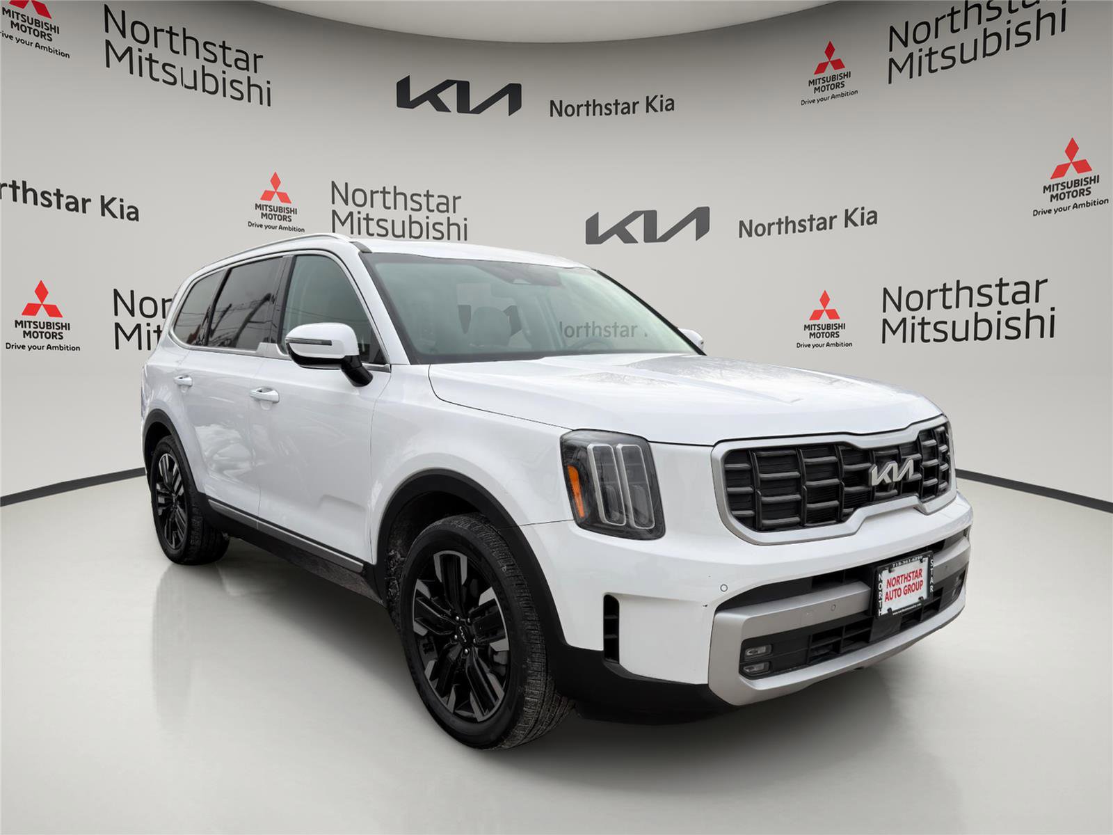 Used 2023 Kia Telluride SX image 6