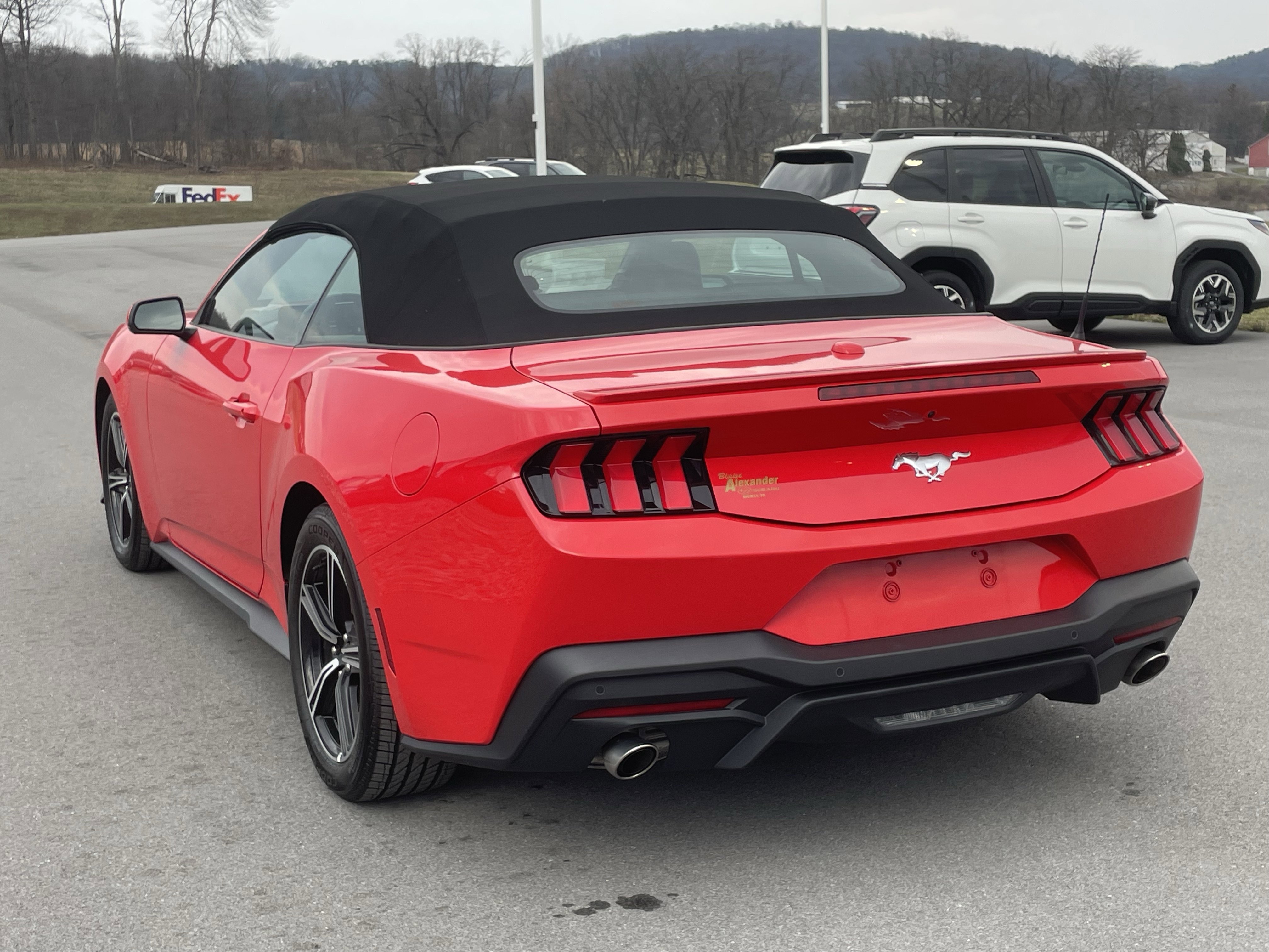 Used 2025 Ford Mustang Premium image 6