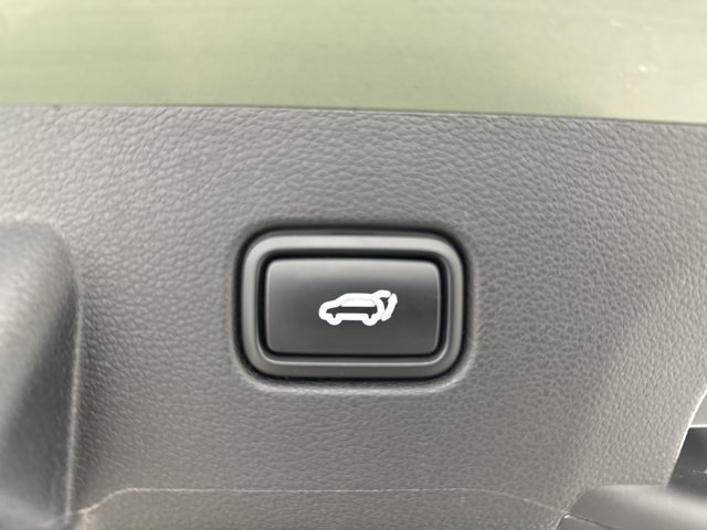 Certified 2024 Kia Sportage X-Line w/ X-Line Premium Package AWD/4WD image 30