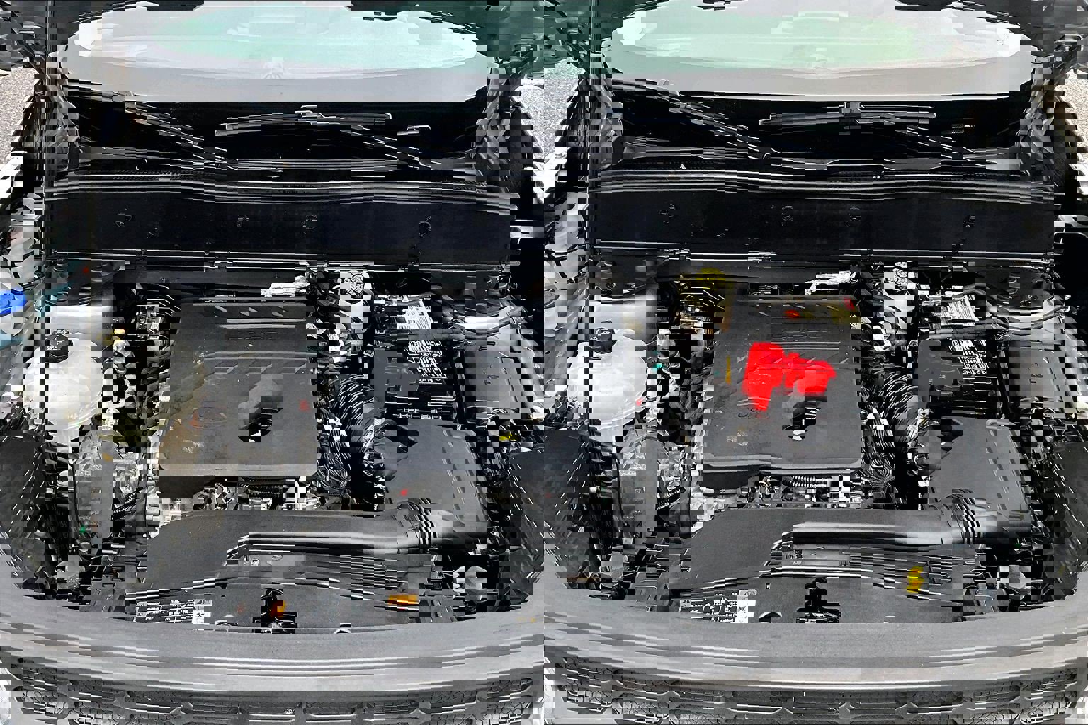 Used 2021 Ford Bronco Sport image 31