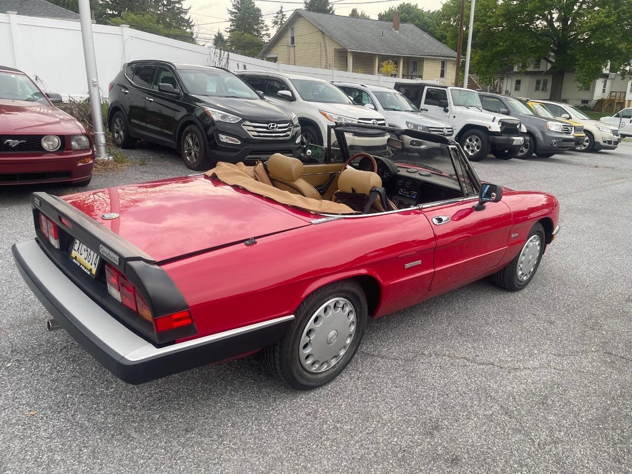Used 1990 Alfa Romeo Spider Graduate RWD image 5