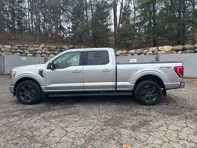 Used 2022 Ford F150 XLT w/ Equipment Group 302A High image 2