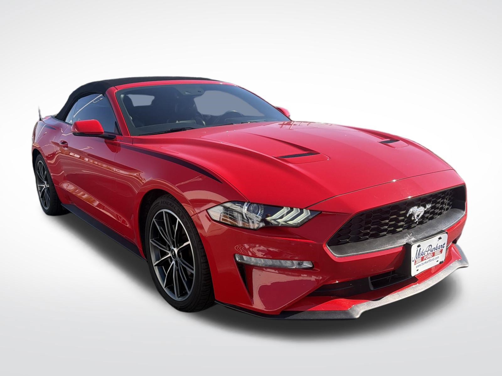 Used 2019 Ford Mustang Premium w/ Equipment Group 201A RWD image 5